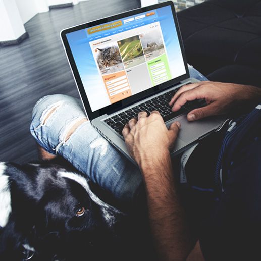 Social network Animalfanbook
