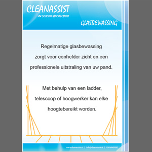 Posters: Cleanassist